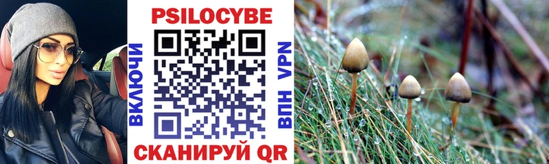 это официальный сайт дарнет шоп Заозёрск Псилоцибиновые грибы Psilocybine cubensis